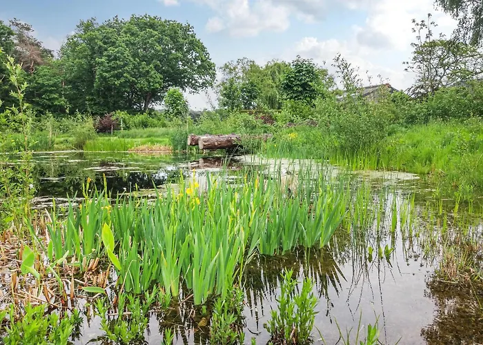 4 Сasa de vacaciones