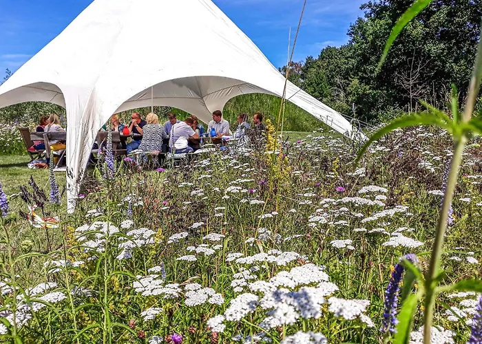 Сasa de vacaciones 4 Grashoek