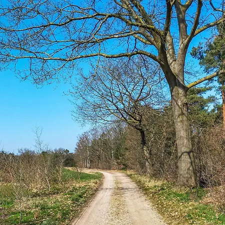 Vakantiehuis 4 Grashoek