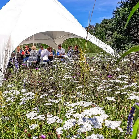 Vakantiehuis 4 Grashoek